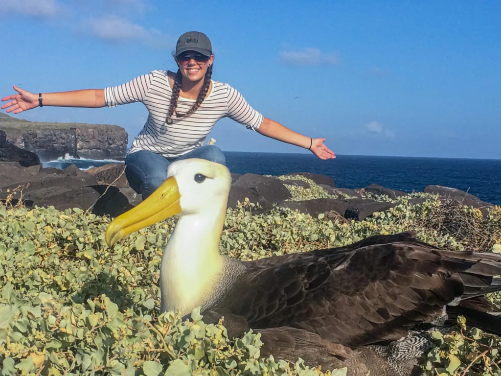 Tourist observe Albatrosses